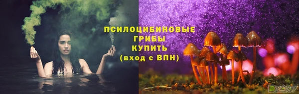 молекула духа Белоозёрский