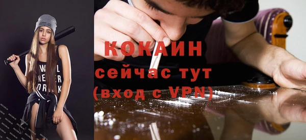 молекула духа Белоозёрский