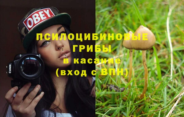 твердый Белокуриха