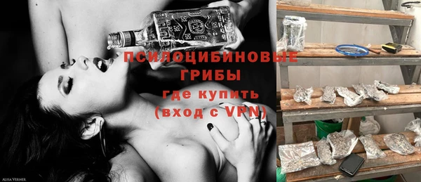 твердый Белокуриха