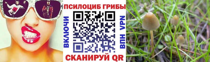 Галлюциногенные грибы прущие грибы Ялуторовск